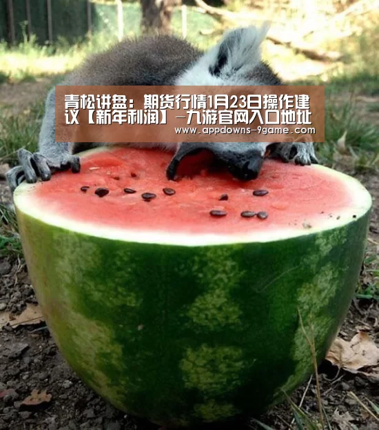 青松讲盘:期货行情1月23日操作建议【新年利润】-九游官网入口地址(图2) 九游平台app下载