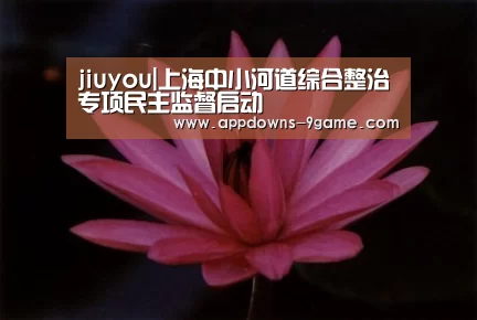 jiuyou|上海中小河道综合整治专项民主监督启动(图3)