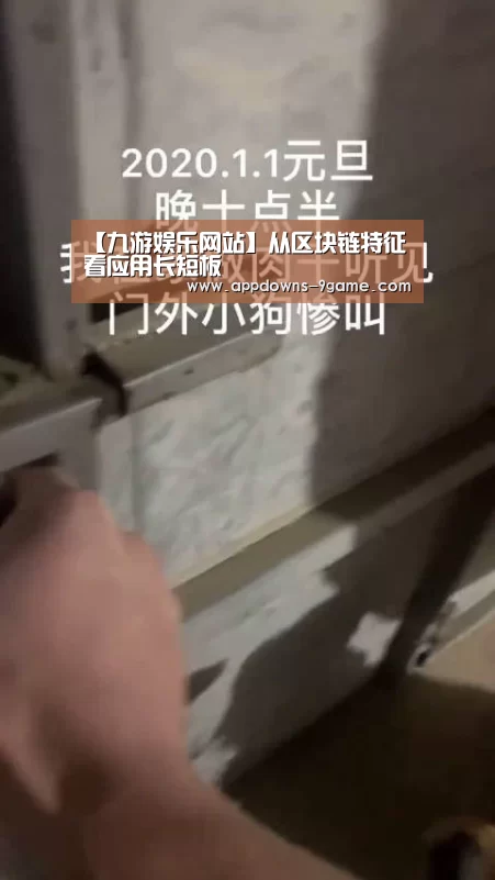 【九游娱乐网站】从区块链特征看应用长短板(图2) 【九游娱乐网站】从区块链特征看应用长短板(图2)