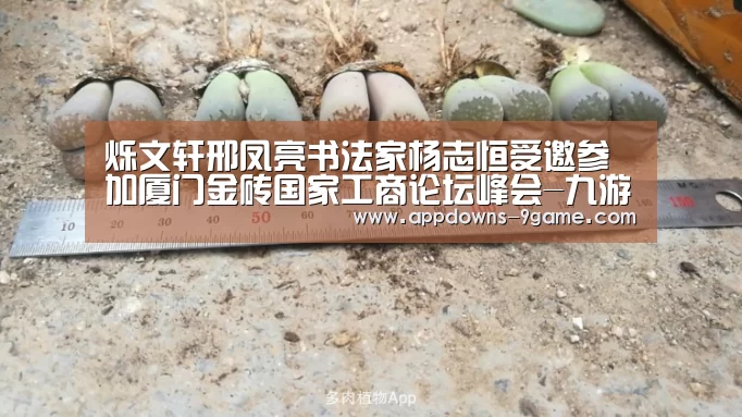 九游体育下载