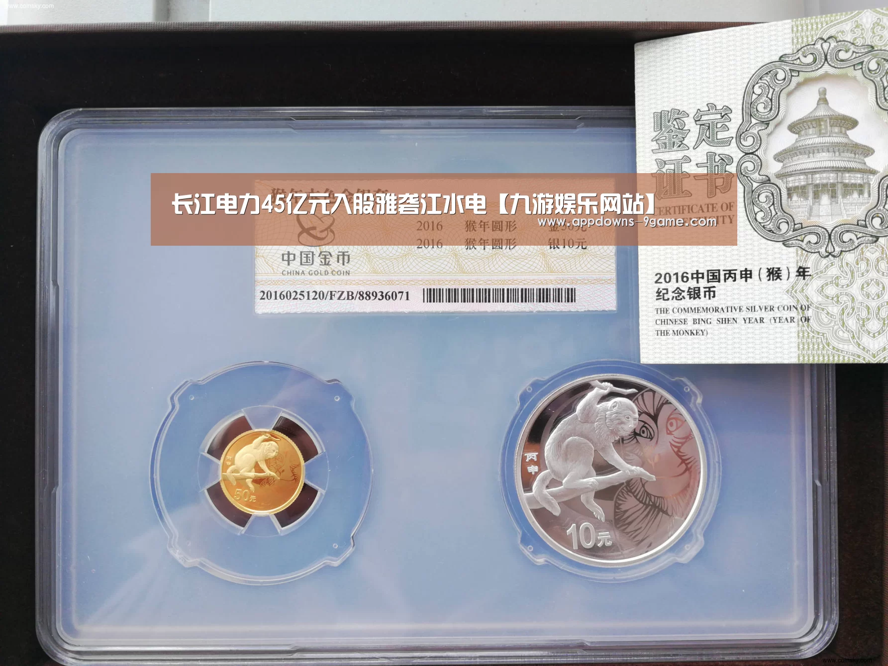九游体育官网