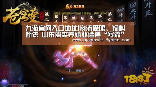 九游官网入口地址|物流受限、饲料断供 山东禽类养殖业遭遇“寒流”(图1) 九游平台app下载